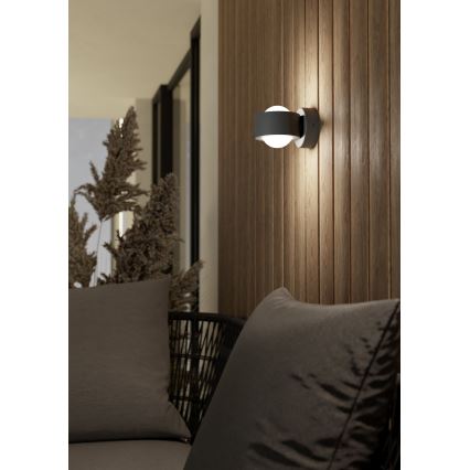 Eglo 98746 - LED-ulkoseinävalaisin TREVIOLO 2xLED/2W/230V IP44