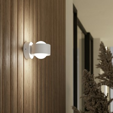 Eglo 98747 - LED-ulkoseinävalaisin TREVIOLO 2xLED/2W/230V IP44