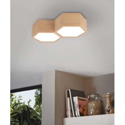 Eglo - Kattovalo 2xE27/9W/230V