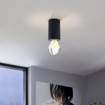 Eglo 99065 - Kattovalaisin SALUZZO 1xE27/40W/230V