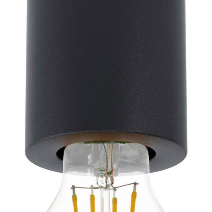 Eglo 99065 - Kattovalaisin SALUZZO 1xE27/40W/230V