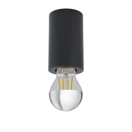 Eglo 99065 - Kattovalaisin SALUZZO 1xE27/40W/230V