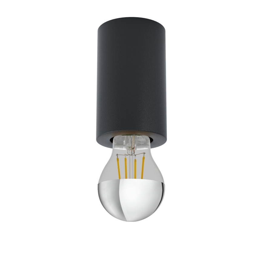 Eglo 99065 - Kattovalaisin SALUZZO 1xE27/40W/230V