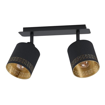 Eglo 99277 - Kohdevalo ESTEPERRA 2xE27/28W/230V