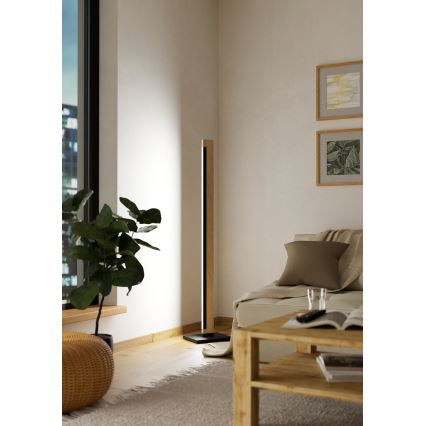 Eglo - LED Himmennettävä kosketus lattialamppu CAMACHO LED/22W/230V