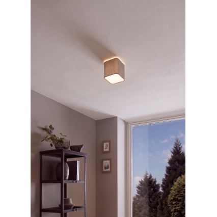 Eglo 99302 - Kattovalo POSADERRA 1xE27/28W/230V