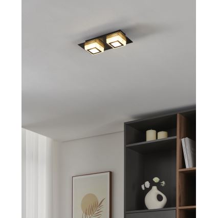 Eglo 99362 - LED kattovalaisin MASIANO 2xLED/3,3W/230V