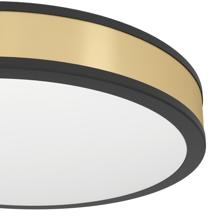 Eglo 99407 - LED-kattovalaisin PESCAITO LED/24W/230V