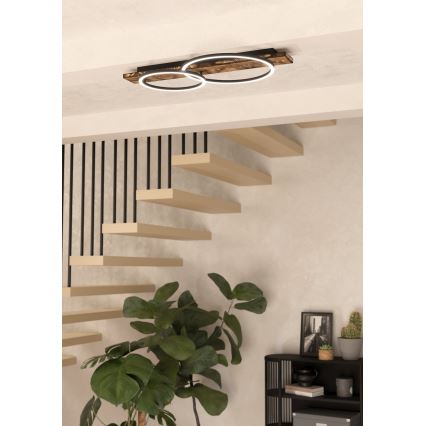 Eglo 99408 - LED-kattovalaisin BOYAL 2xLED/12W/230V