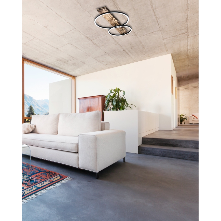 Eglo 99408 - LED-kattovalaisin BOYAL 2xLED/12W/230V
