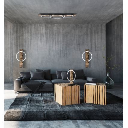 Eglo - LED Kattovalo BOYAL 2xLED/12W/230V + LED/12W