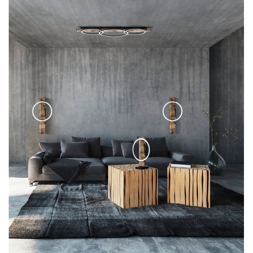 Eglo - LED Kattovalo BOYAL 2xLED/12W/230V + LED/12W