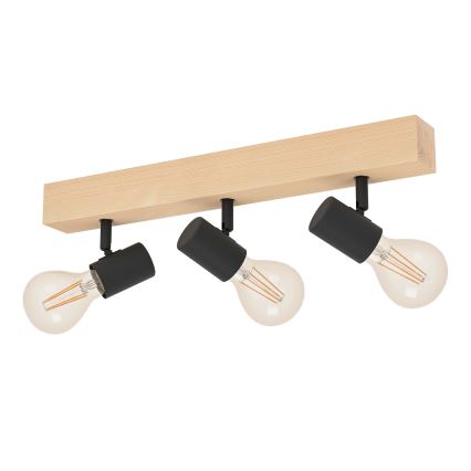Eglo - Kohdevalo TOWNSHEND 3xE27/60W/230V