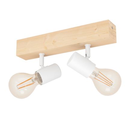 Eglo - Kohdevalo TOWNSHEND 2xE27/60W/230V