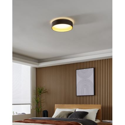 Eglo 99542 - LED-kattovalaisin MASERLO LED/24W/230V