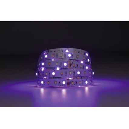 Eglo - LED RGBW Himmennettävä nauha 5m LED/11W/12/230V 2700-6500K ZigBee