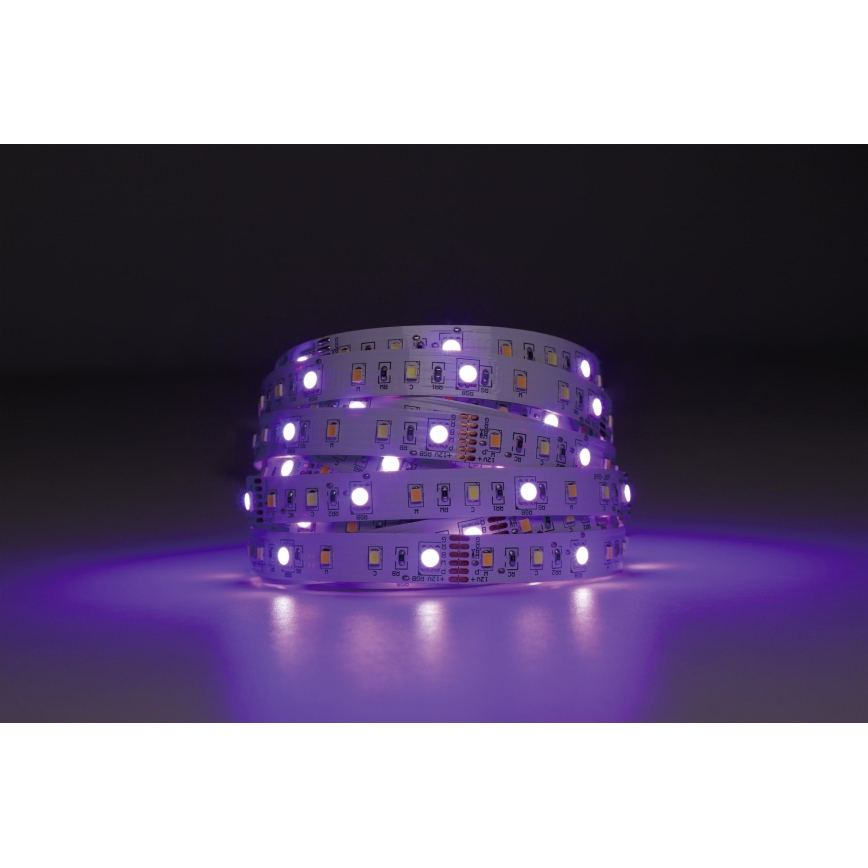Eglo - LED RGBW Himmennettävä nauha 5m LED/11W/12/230V 2700-6500K ZigBee