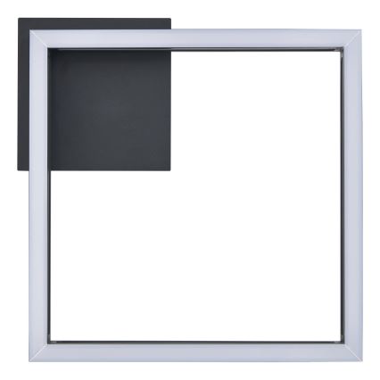 Eglo - LED-kattovalaisin LED/11,2W/230V musta