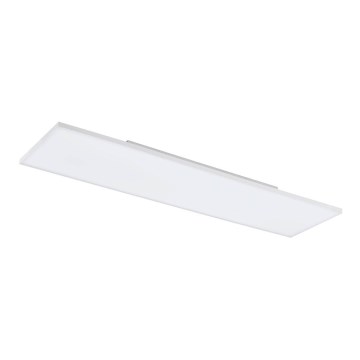 Eglo 99846 - LED-kattovalaisin TURCONA LED/31,5W/230V