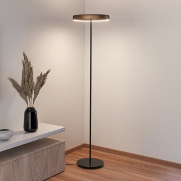 Eglo - himmennettävä LED-lattiavalaisin liiketunnistimella 2xLED/19W/230V 2200-6500K ruskea