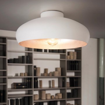 Eglo - Kattovalaisin 1xE27/60W/230V