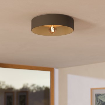 Eglo - Kattovalo 1xE27/40W/230V harmaa