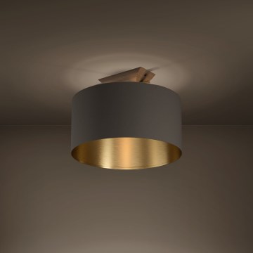 Eglo - Kattovalo 1xE27/40W/230V ruskea/kulta