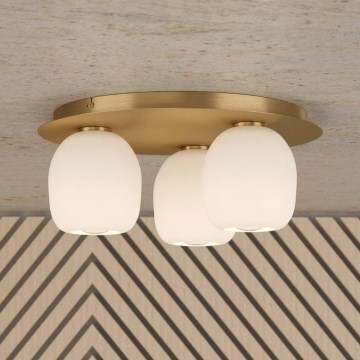 Eglo - Kattovalo 3xE27/40W/230V