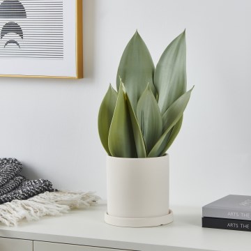 Eglo - Keinotekoinen kasvi kukkaruukussa 41,5x28,5 cm