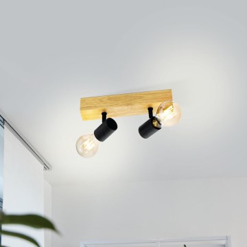 Eglo - Kohdevalo TOWNSHEND 2xE27/60W/230V