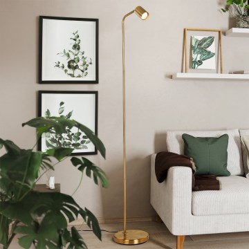 Eglo - Lattiavalaisin 1xGU10/5W/230V kullanvärinen