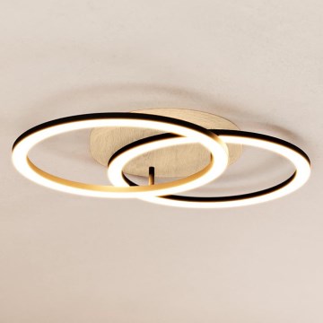 Eglo - LED Himmennettävä pinta-asennettava kattokruunu 2xLED/16W/230V 2700-6500K