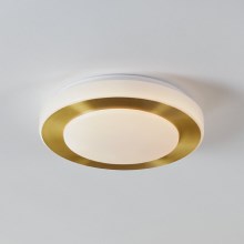 Eglo - LED-kattovalaisin kylpyhuoneeseen LED/10,8W/230V IP44