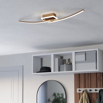 Eglo - LED-kattovalaisin LED/12W/230V 4000K kupari