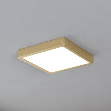 Eglo - LED-kattovalaisin LED/17W/230V 21x21 cm