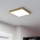 Eglo - LED Kattovalaisin LED/20,5W/230V 28,5x28,5 cm