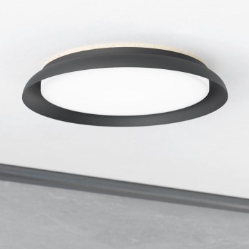 Eglo - LED-kattovalaisin LED/20W/230V