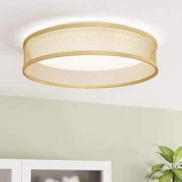 Eglo - LED-kattovalaisin LED/20W/230V kulta