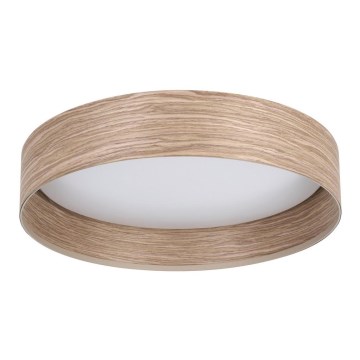 Eglo - LED-kattovalaisin LED/24W/230V