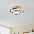 Eglo - LED-kattovalaisin LED/35W/230V