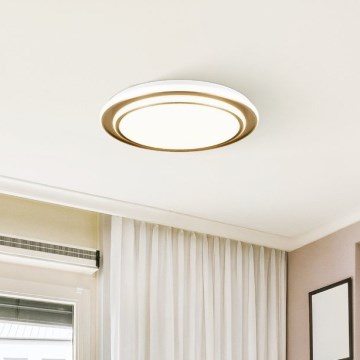 Eglo - LED-kattovalaisin LED/36W/230V 2700/4000/6500K halkaisija 49 cm kultainen