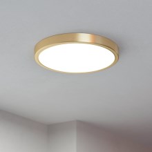 Eglo - LED-kattovalo LED/20,5W/230V d. 28,5 cm