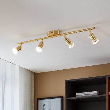 Eglo - LED-kohdevalaisin 4xGU10/2,8W/230V 3000K kulta