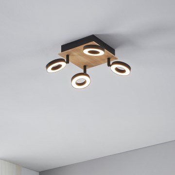 Eglo - LED-kohdevalaisin 4xLED/4,2W/230V musta/ruskea