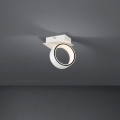 Eglo - LED-kohdevalaisin LED/4,6W/230V 3000K