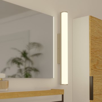 Eglo - LED-kylpyhuonevalaisin LED/13W/230V IP44