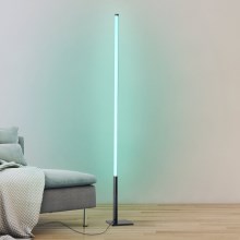 Eglo - LED RGB Himmennettävä lattialamppu LED/13,5W/230V 2700-6500K + kaukosäädin