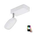 Eglo - LED RGB Kohdevalaisin PALOMBARE-C 1xLED/5W/230V