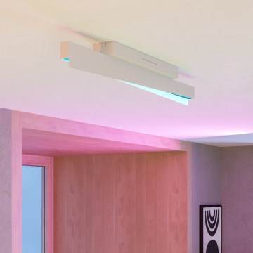 Eglo - LED RGBW himmennettävä kattovalaisin LED/13W/230V 2700-6500K harmaa