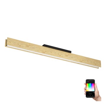 Eglo - LED RGBW Himmennettävä kattovalo LED/35W/230V 2700-6500K